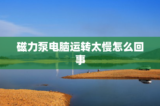 磁力泵电脑运转太慢怎么回事
