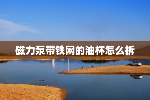磁力泵带铁网的油杯怎么拆