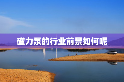 磁力泵的行业前景如何呢