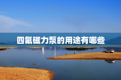 四氟磁力泵的用途有哪些