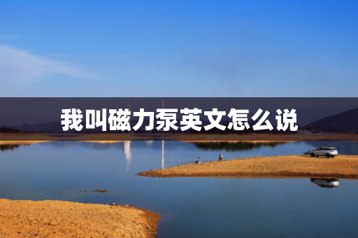 我叫磁力泵英文怎么说