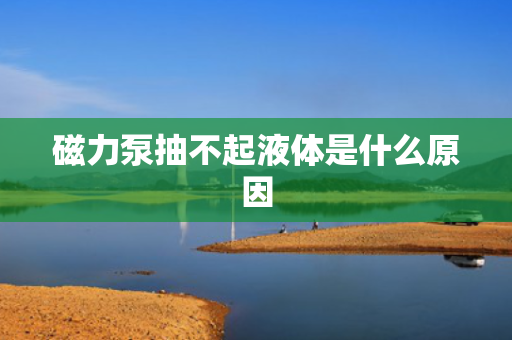 磁力泵抽不起液体是什么原因