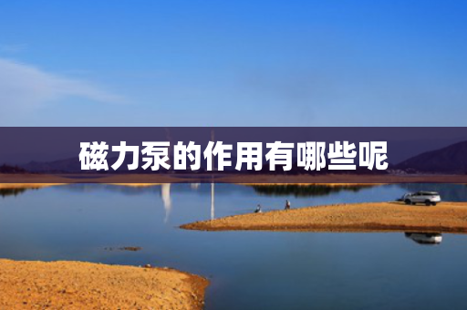 磁力泵的作用有哪些呢