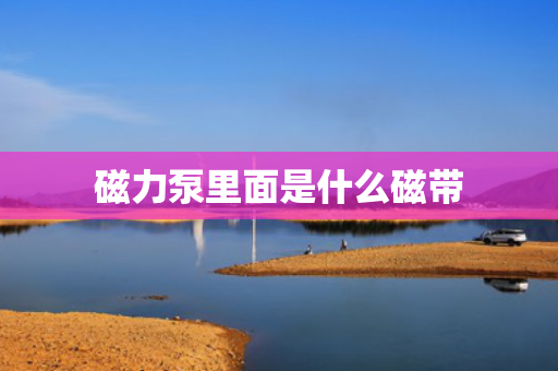 磁力泵里面是什么磁带