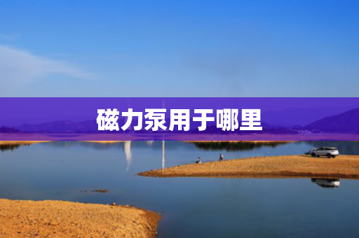 磁力泵用于哪里