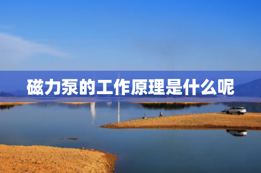 磁力泵的工作原理是什么呢