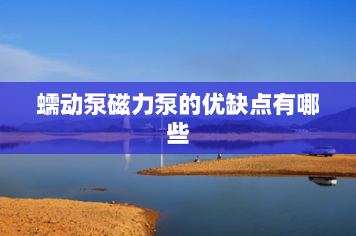 蠕动泵磁力泵的优缺点有哪些