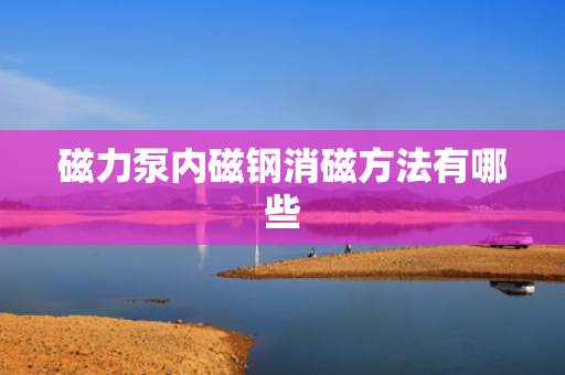 磁力泵内磁钢消磁方法有哪些