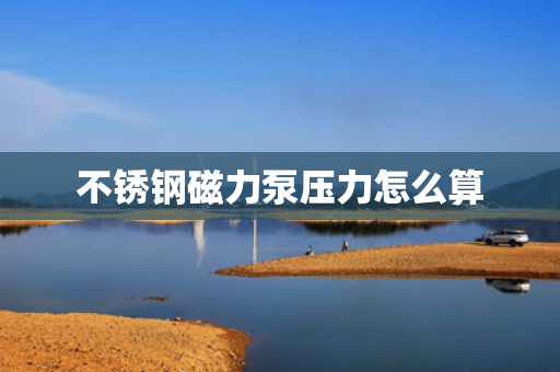 不锈钢磁力泵压力怎么算