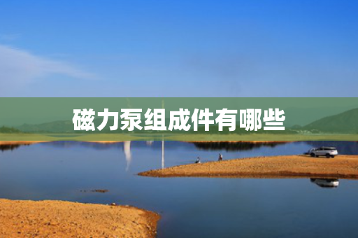 磁力泵组成件有哪些