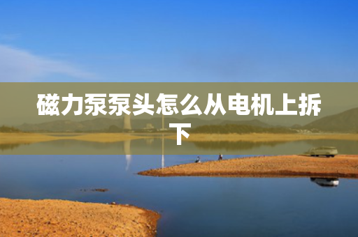 磁力泵泵头怎么从电机上拆下