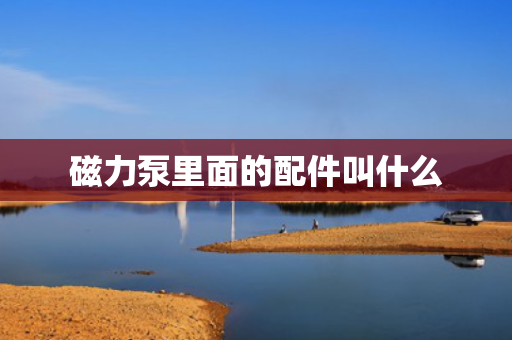磁力泵里面的配件叫什么