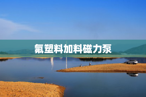 氟塑料加料磁力泵