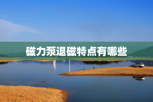 磁力泵退磁特点有哪些