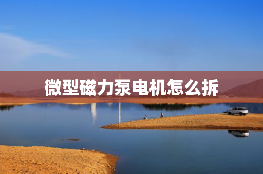 微型磁力泵电机怎么拆