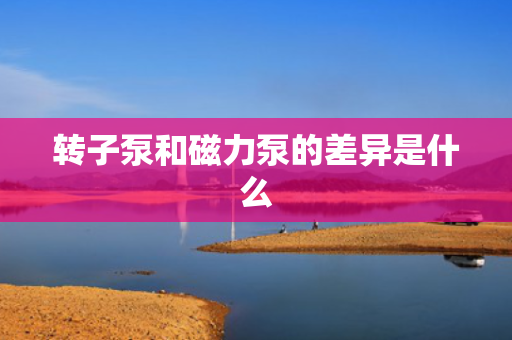转子泵和磁力泵的差异是什么