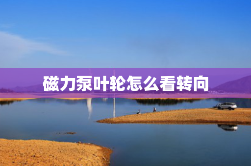 磁力泵叶轮怎么看转向