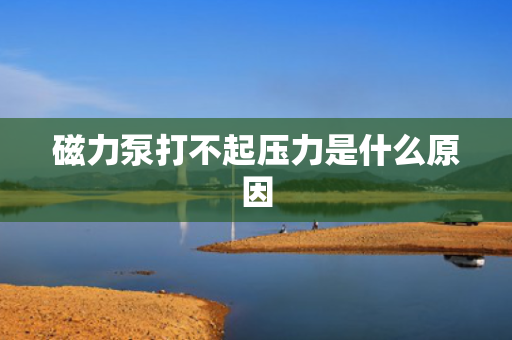 磁力泵打不起压力是什么原因