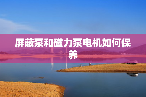 屏蔽泵和磁力泵电机如何保养