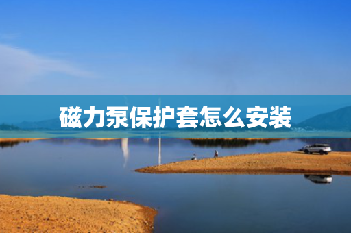 磁力泵?；ぬ自趺窗沧? title=