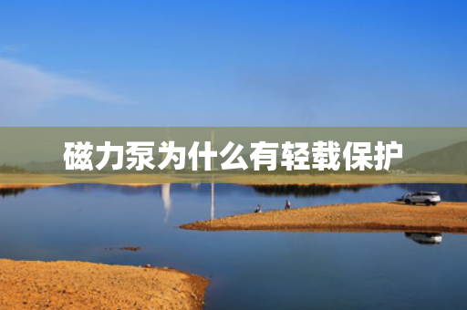 磁力泵为什么有轻载?；? title=