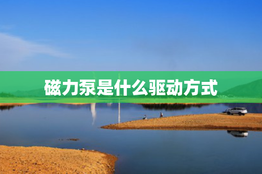 磁力泵是什么驱动方式