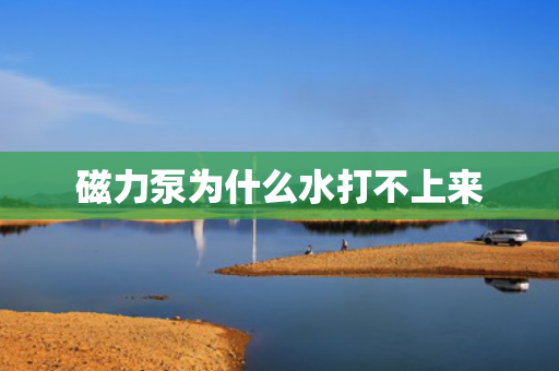 磁力泵为什么水打不上来