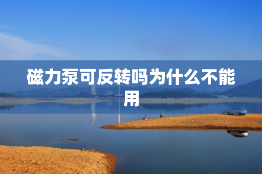 磁力泵可反转吗为什么不能用