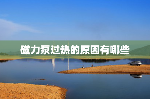 磁力泵过热的原因有哪些