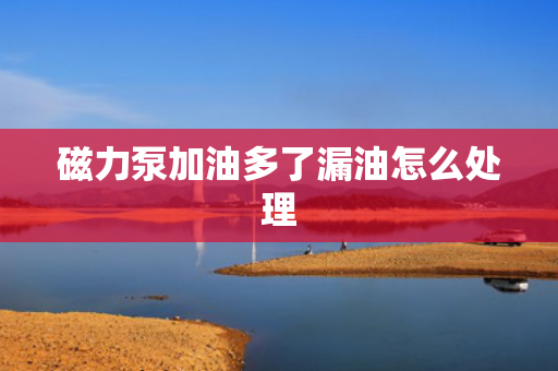 磁力泵加油多了漏油怎么处理