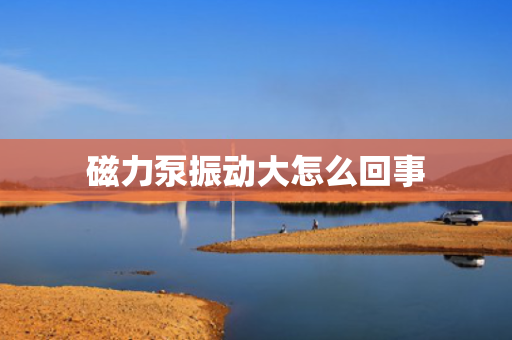 磁力泵振动大怎么回事