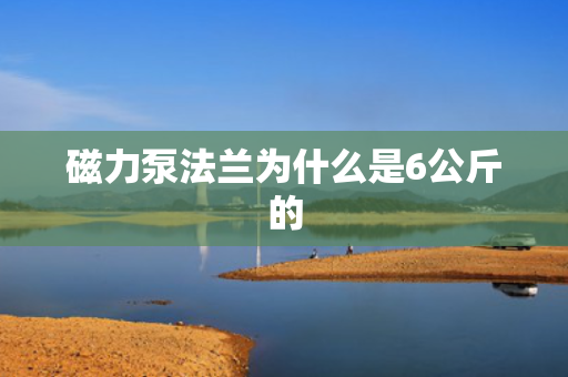 磁力泵法兰为什么是6公斤的