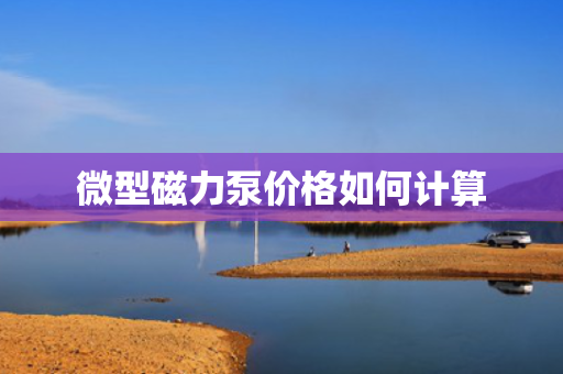 微型磁力泵价格如何计算