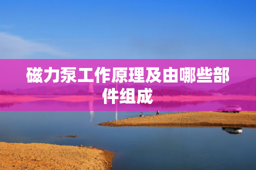 磁力泵工作原理及由哪些部件组成
