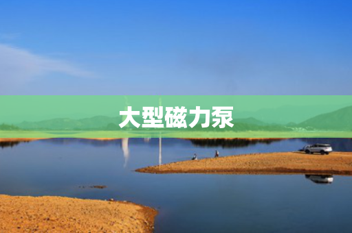 大型磁力泵