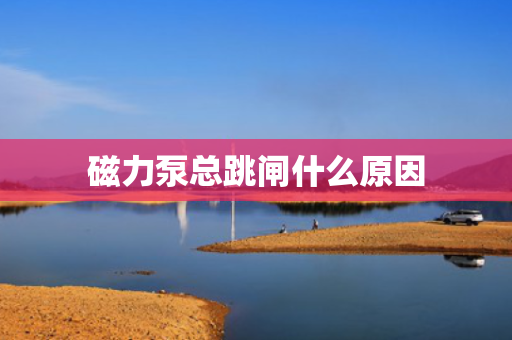 磁力泵总跳闸什么原因