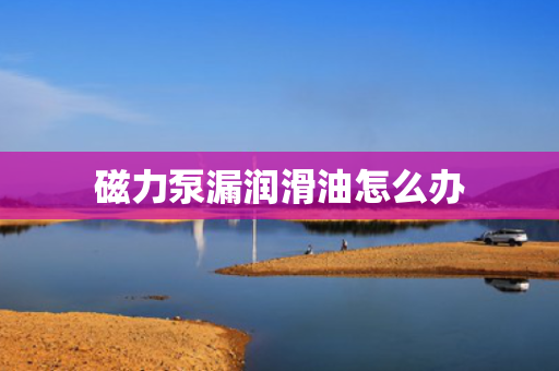 磁力泵漏润滑油怎么办