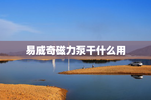 易威奇磁力泵干什么用