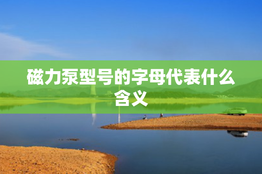 磁力泵型号的字母代表什么含义