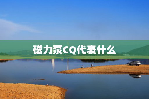 磁力泵CQ代表什么