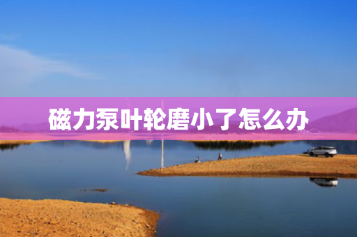 磁力泵叶轮磨小了怎么办