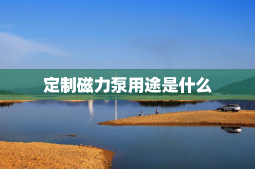 定制磁力泵用途是什么