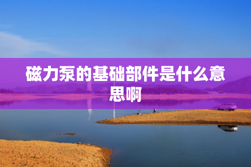 磁力泵的基础部件是什么意思啊