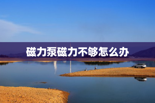 磁力泵磁力不够怎么办