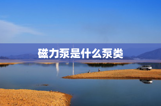 磁力泵是什么泵类