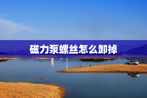 磁力泵螺丝怎么卸掉