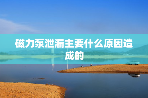 磁力泵泄漏主要什么原因造成的