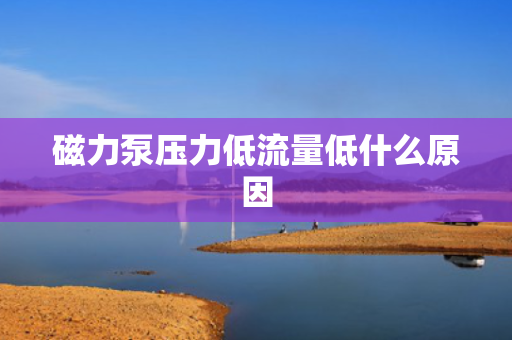 磁力泵压力低流量低什么原因