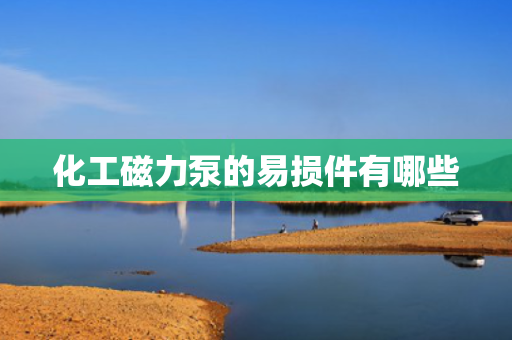 化工磁力泵的易损件有哪些