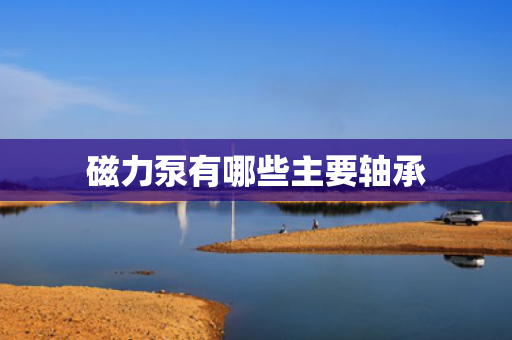 磁力泵有哪些主要轴承